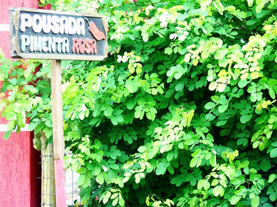 Pousada Pimenta Rosa 사콰레마 외부 사진